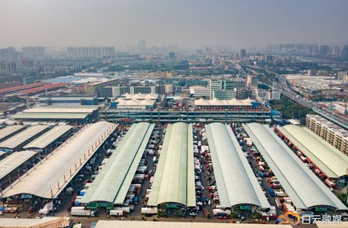 买买买！白云实力拼单，代言带货湖北农副产品超6000吨